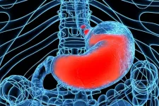 1800x1200_heartburn_acid_reflux-870x580.jpg.webp 1800x1200_heartburn_acid_reflux-870x580.jpg.webp